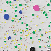 夾雜物最惡劣視場法